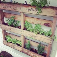 How To Make a Vertical Pallet Herb Garden